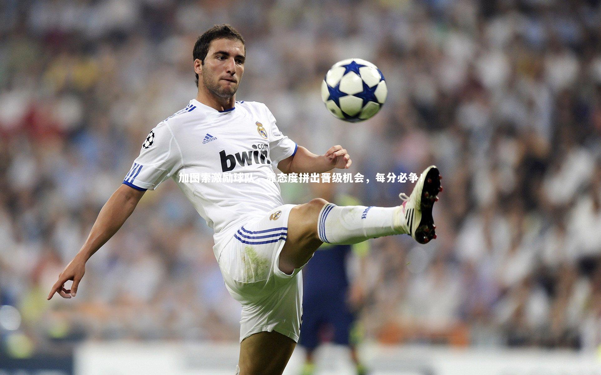 【BSPORTS】加图索激励球队，靠态度拼出晋级机会，每分必争！